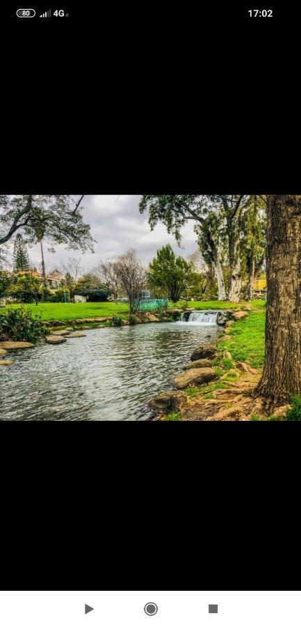 Villa By The River Facing The Hermon In Dafna Extérieur photo