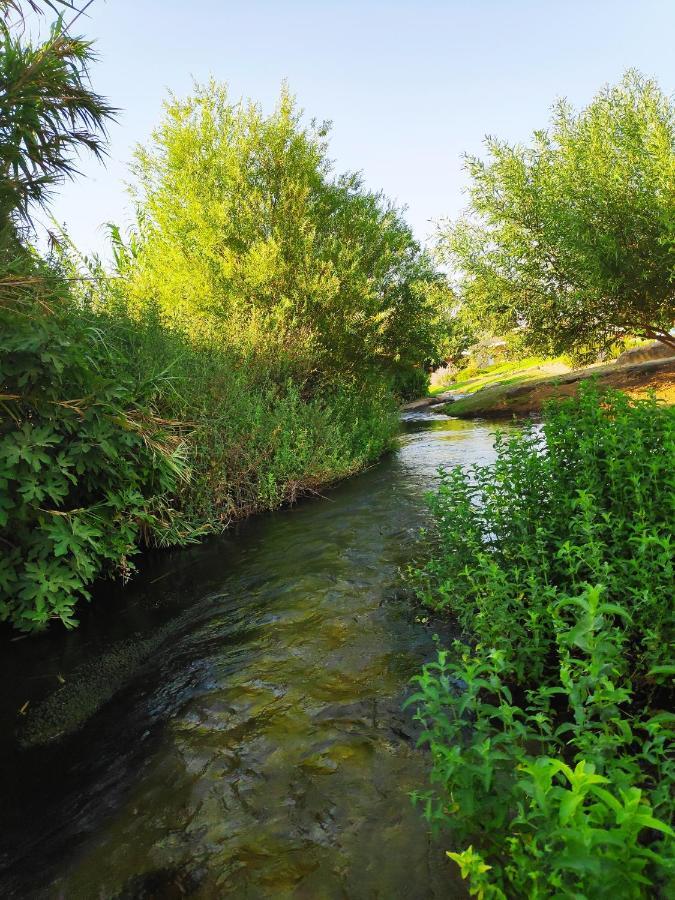 Villa By The River Facing The Hermon In Dafna Extérieur photo