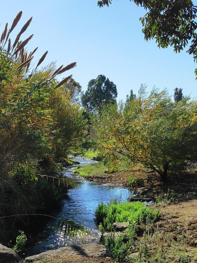 Villa By The River Facing The Hermon In Dafna Extérieur photo